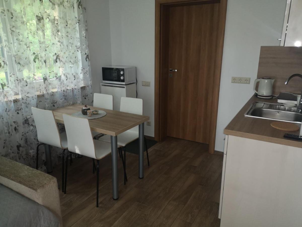 Kristinos Apartment Druskininkai Buitenkant foto