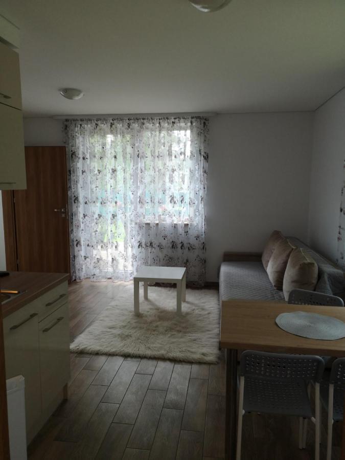 Kristinos Apartment Druskininkai Buitenkant foto