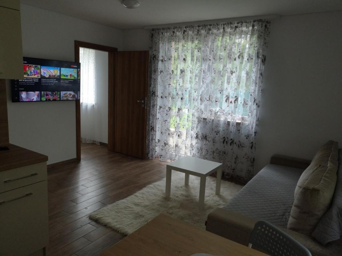 Kristinos Apartment Druskininkai Buitenkant foto