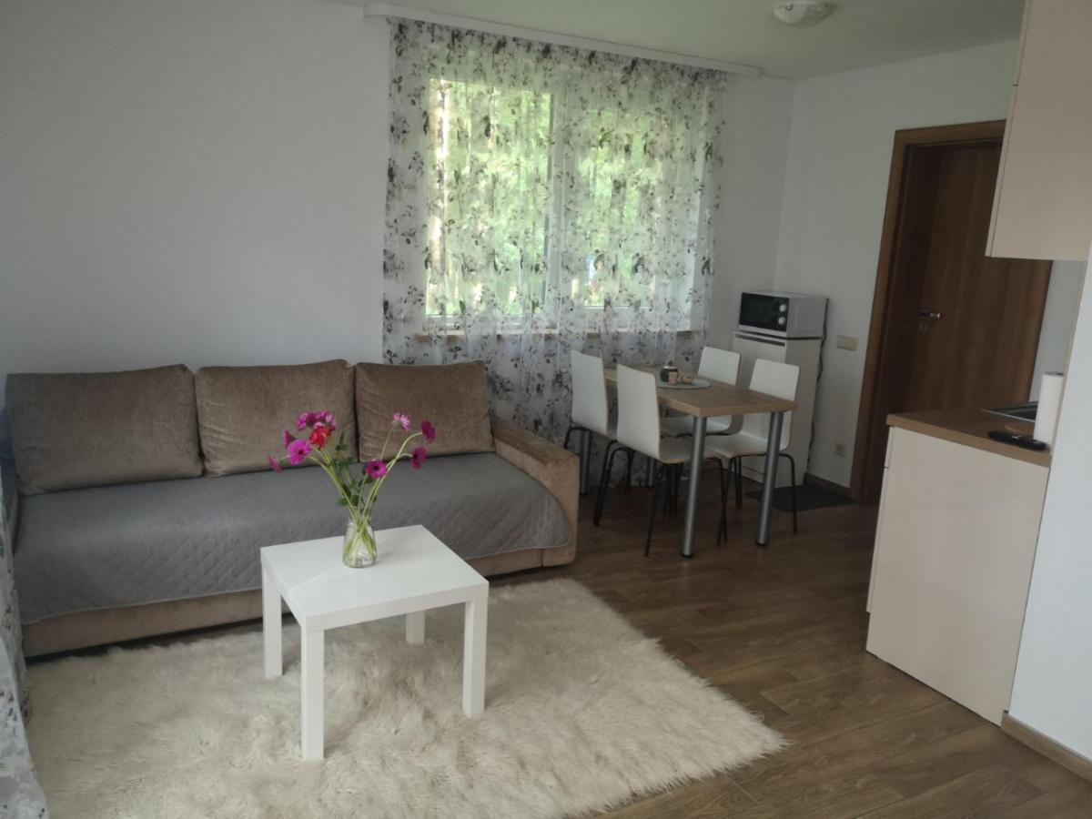 Kristinos Apartment Druskininkai Buitenkant foto