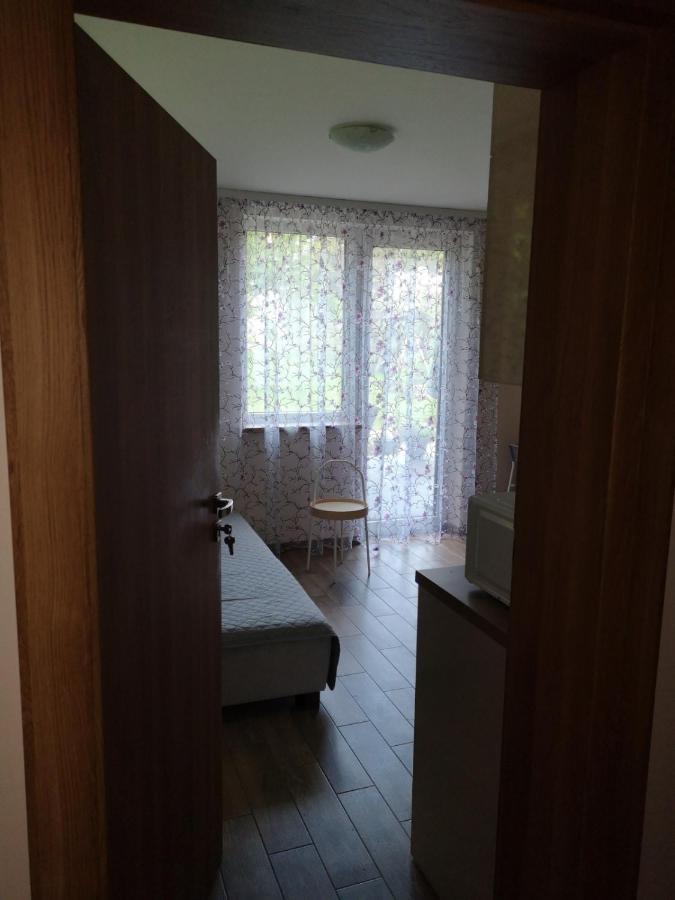 Kristinos Apartment Druskininkai Buitenkant foto