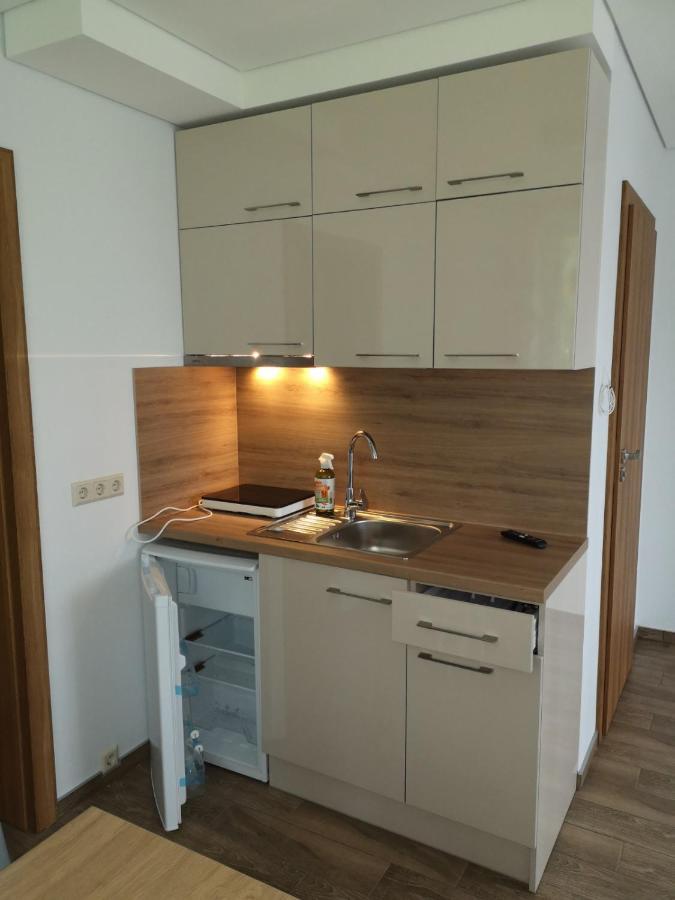 Kristinos Apartment Druskininkai Buitenkant foto