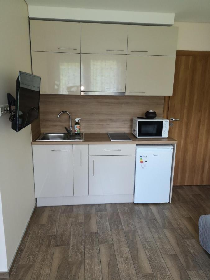 Kristinos Apartment Druskininkai Buitenkant foto