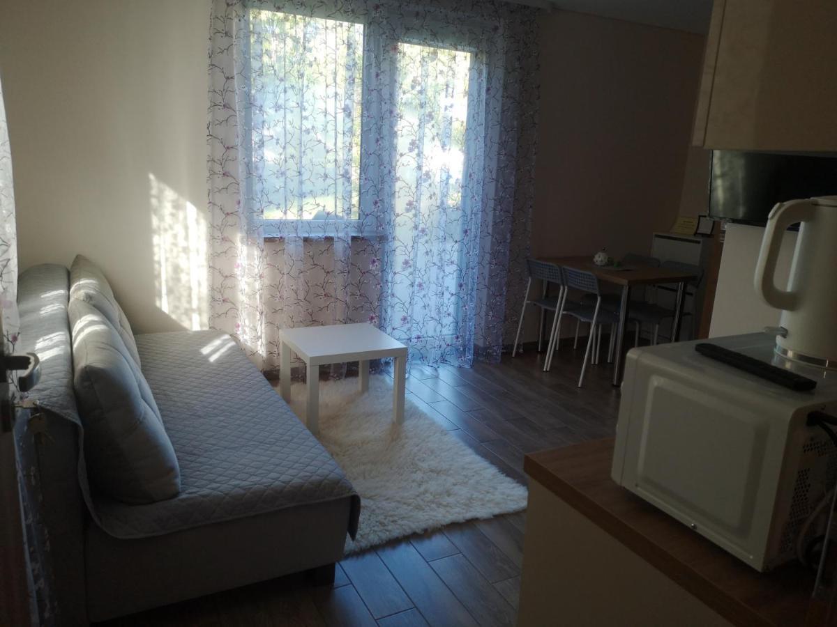 Kristinos Apartment Druskininkai Buitenkant foto