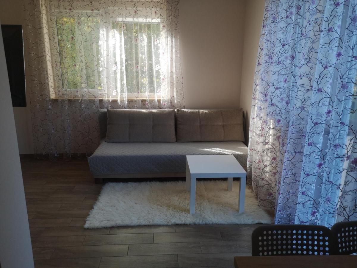 Kristinos Apartment Druskininkai Buitenkant foto