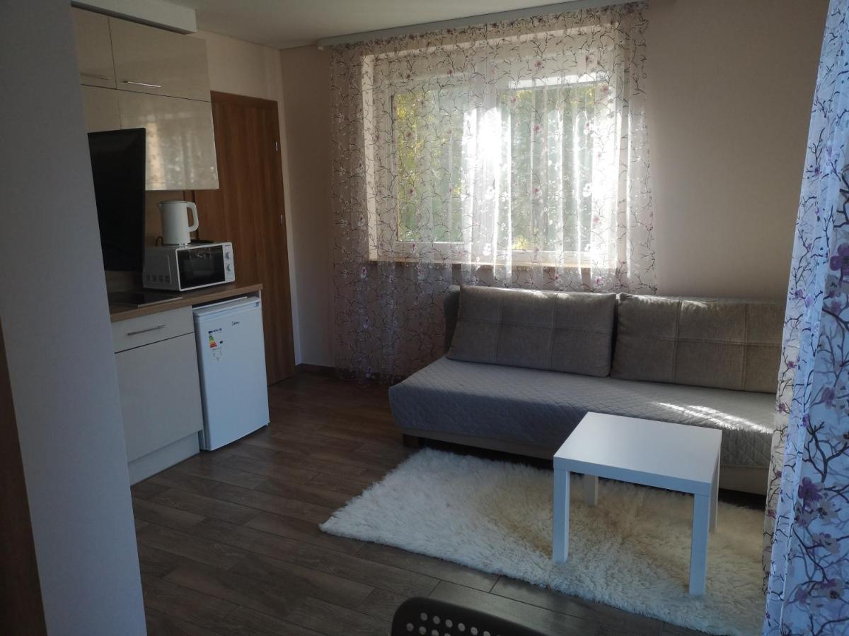 Kristinos Apartment Druskininkai Buitenkant foto
